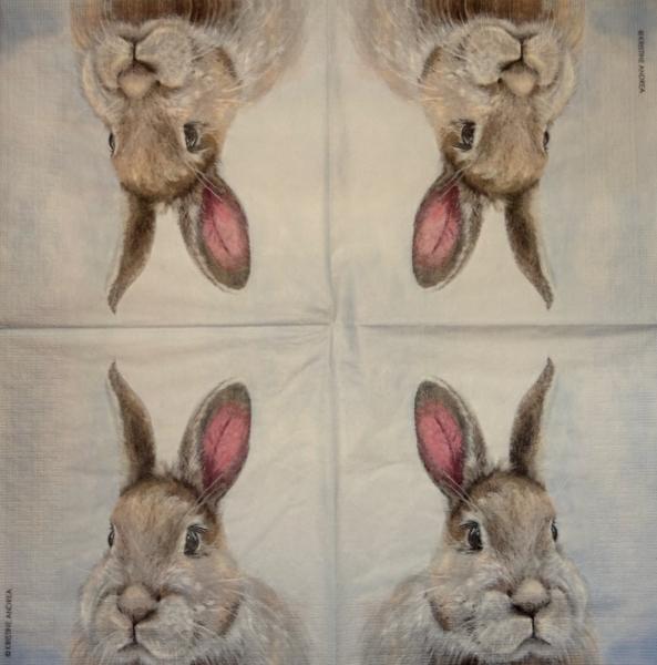 999.186 Rabbits:  natürliche - 3-ply - Peter Rabbit 2005